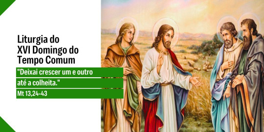 Reflexão: Liturgia do 16° Domingo do Tempo Comum, Ano A – 19/07/2026