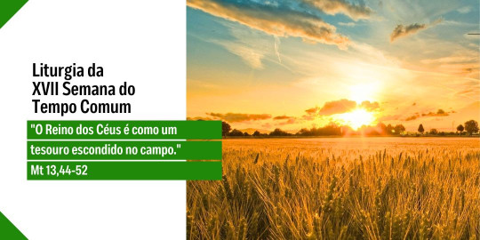 Reflexão: Liturgia do 17° Domingo do Tempo Comum, Ano A – 26/07/2026