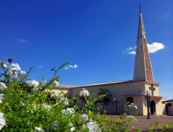 Frei Airton Sousa Guedes, OFMCAP - Clero - Arquidiocese de Goiânia
