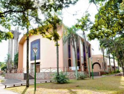 Frei Airton Sousa Guedes, OFMCAP - Clero - Arquidiocese de Goiânia